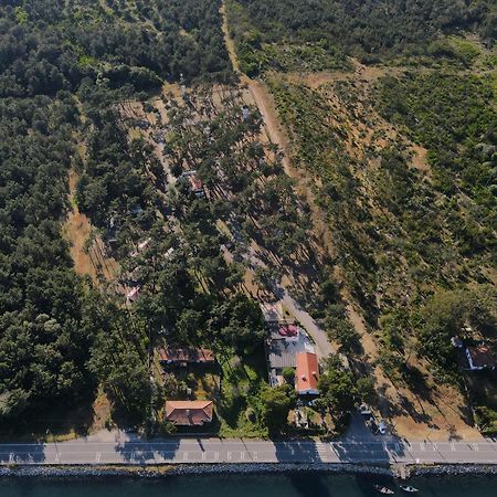 Parque de Campismo Orbitur Sao Jacinto São Jacinto Exterior foto
